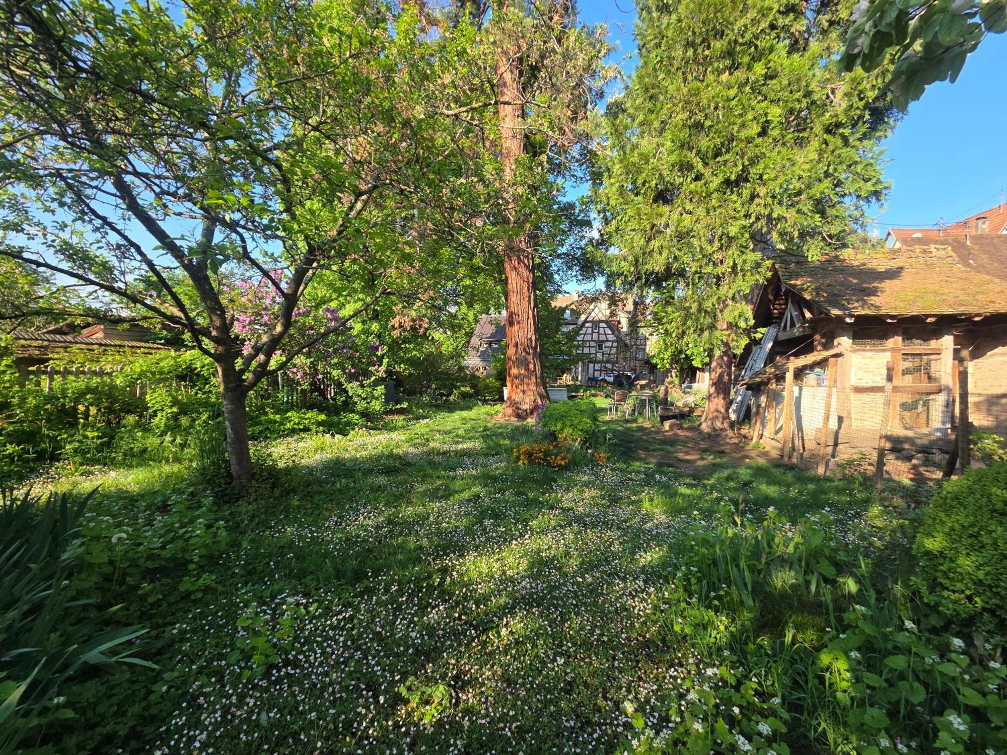 Villa Le Temps Des Cigognes Barr Esterno foto