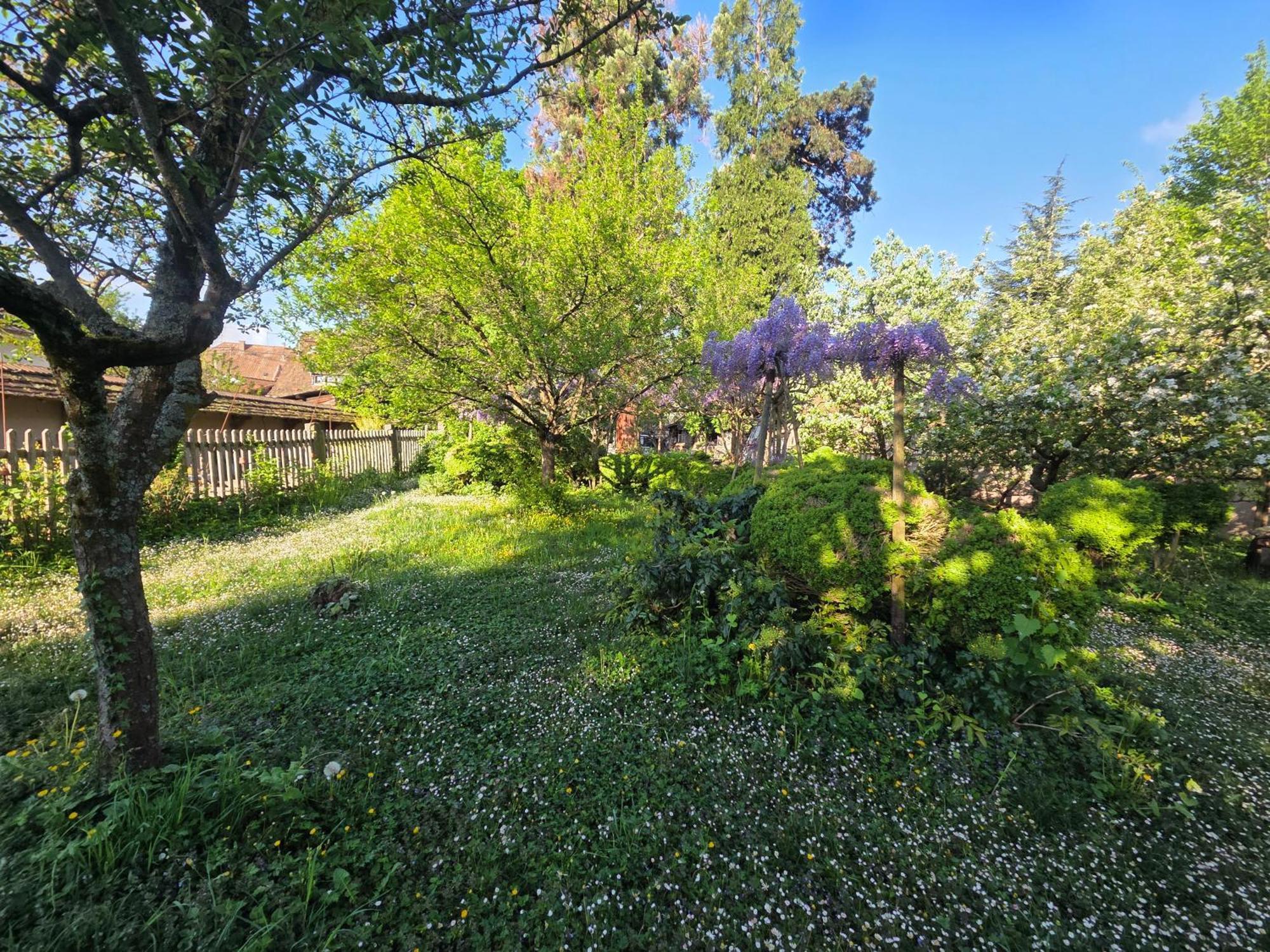 Villa Le Temps Des Cigognes Barr Esterno foto