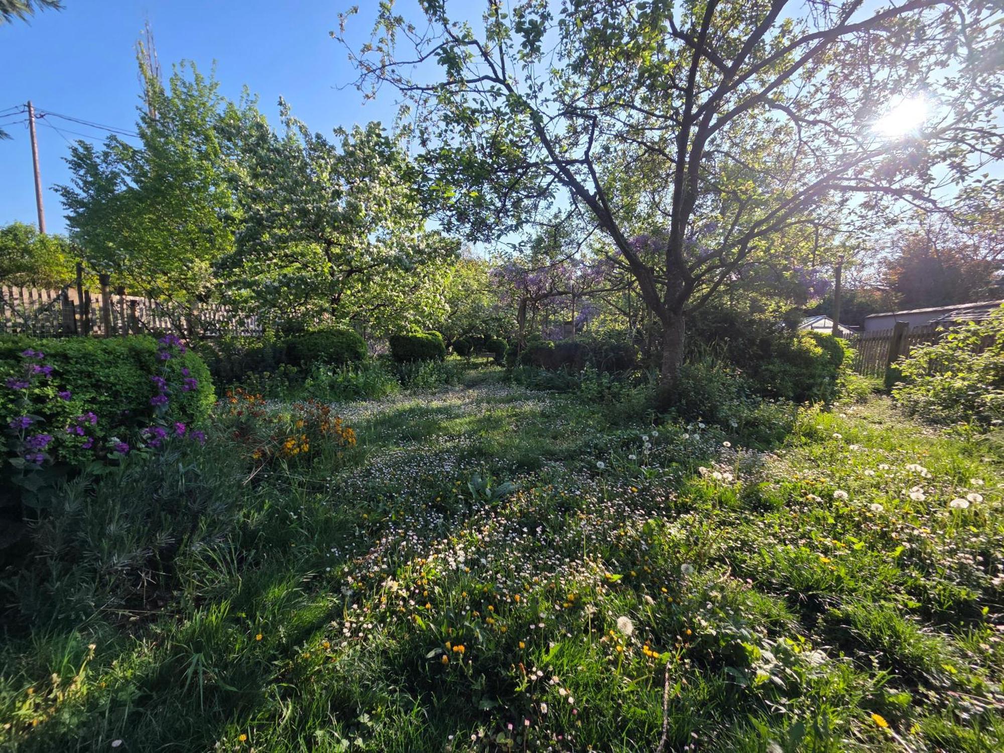 Villa Le Temps Des Cigognes Barr Esterno foto