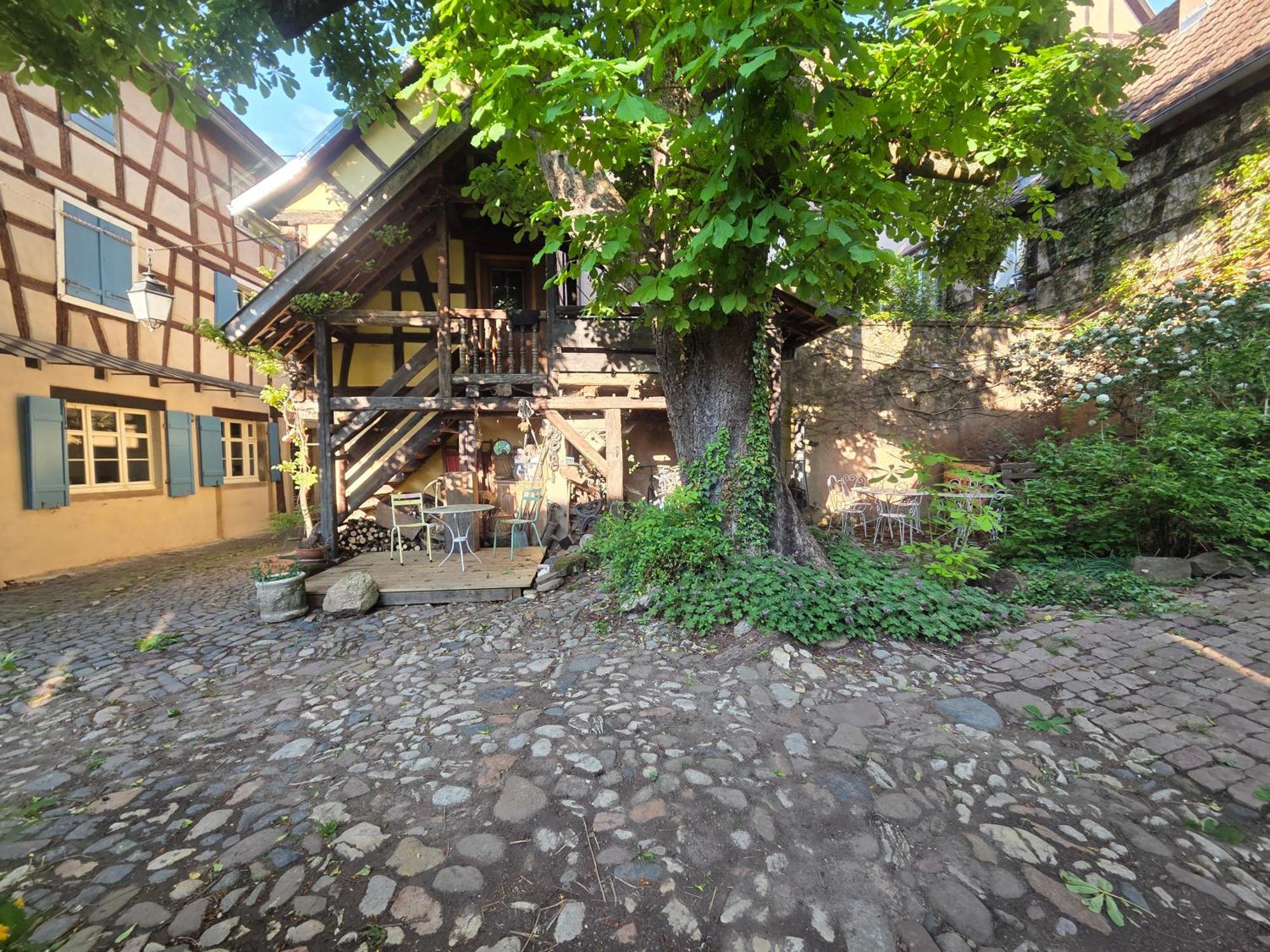 Villa Le Temps Des Cigognes Barr Esterno foto