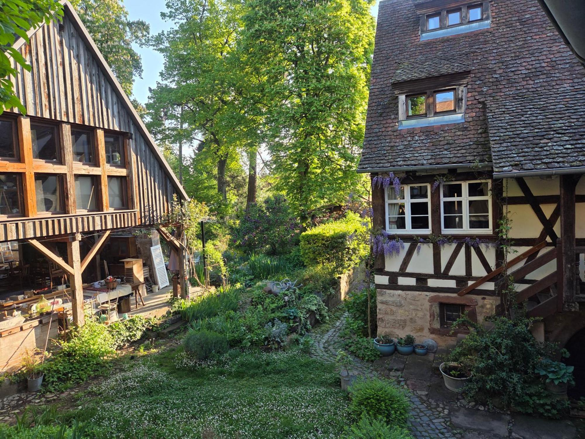 Villa Le Temps Des Cigognes Barr Esterno foto