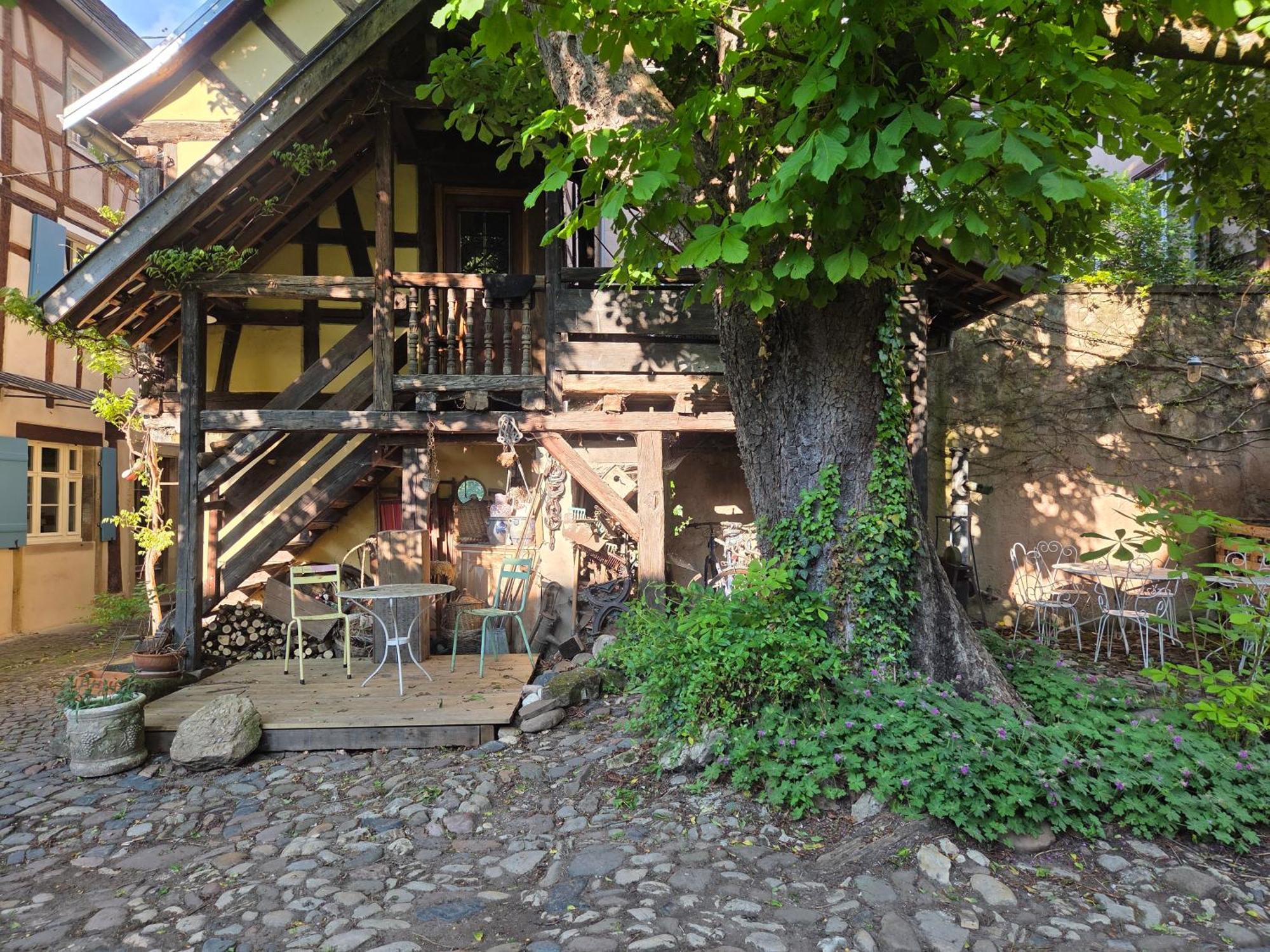 Villa Le Temps Des Cigognes Barr Esterno foto