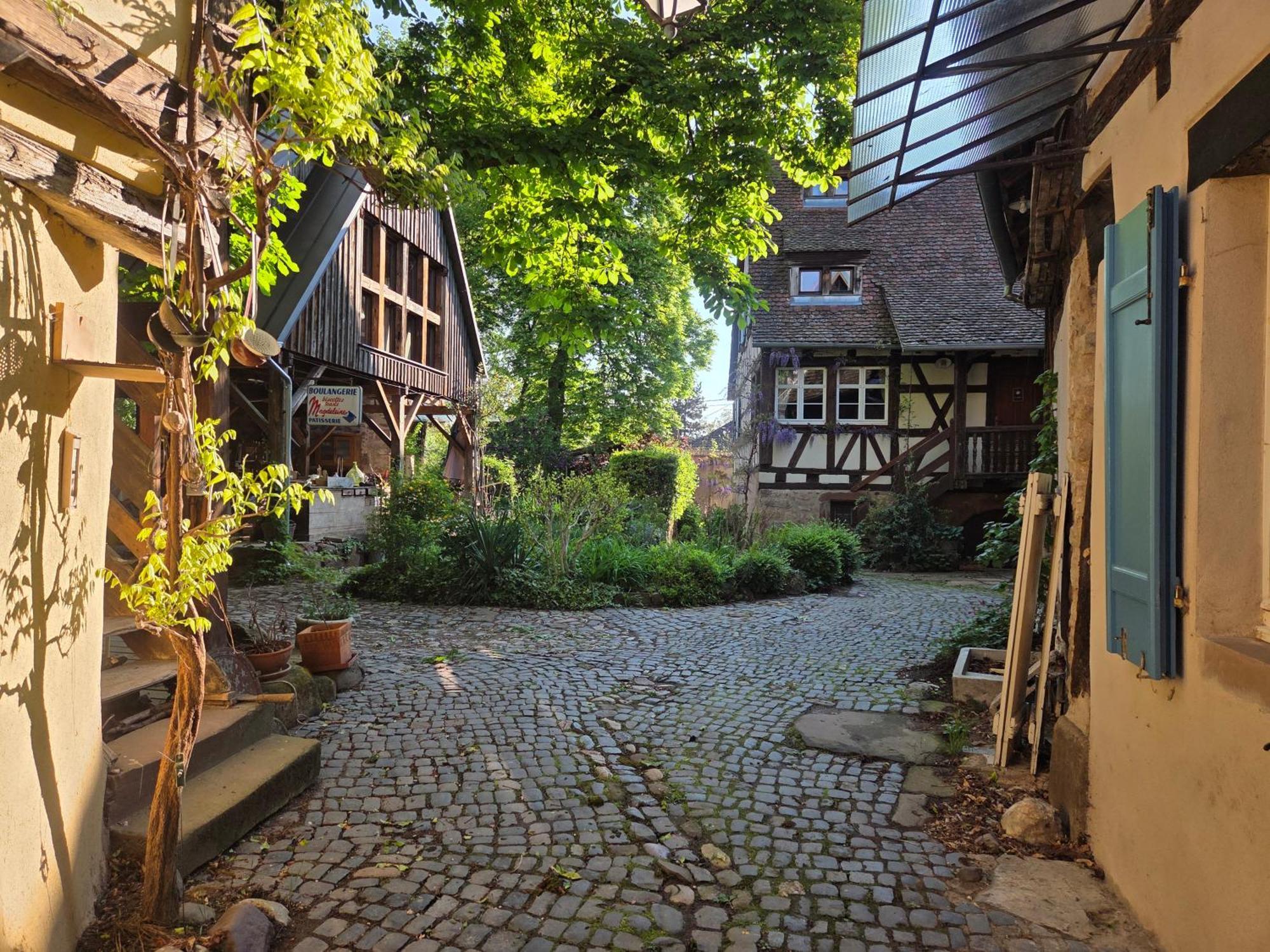 Villa Le Temps Des Cigognes Barr Esterno foto