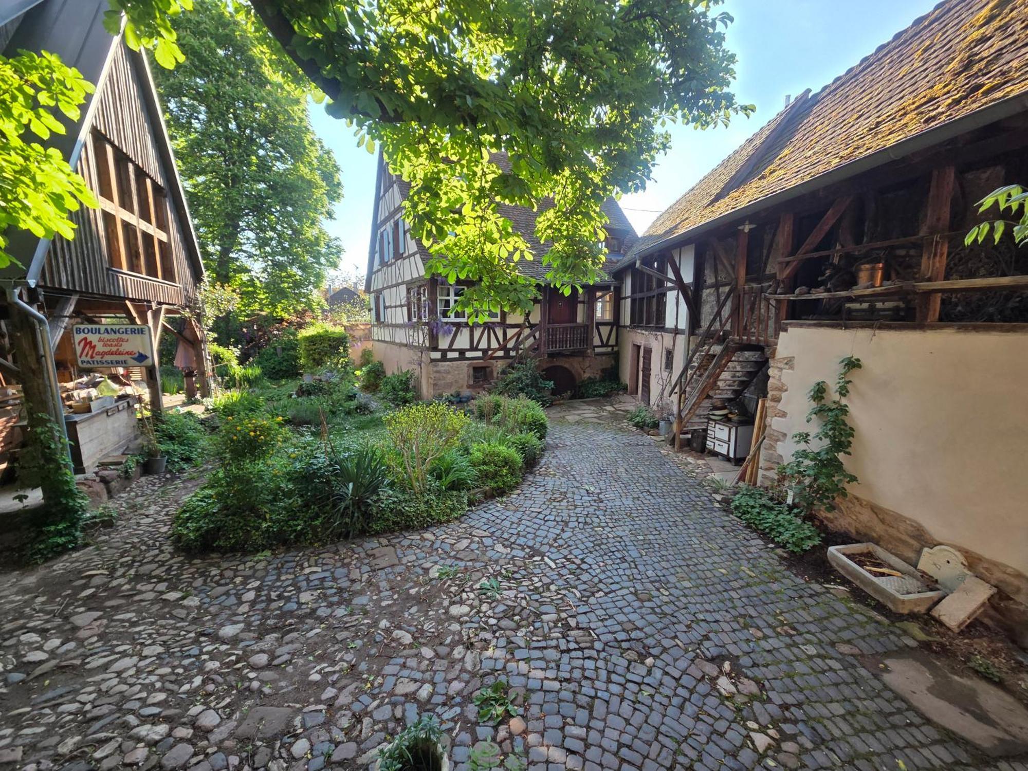 Villa Le Temps Des Cigognes Barr Esterno foto