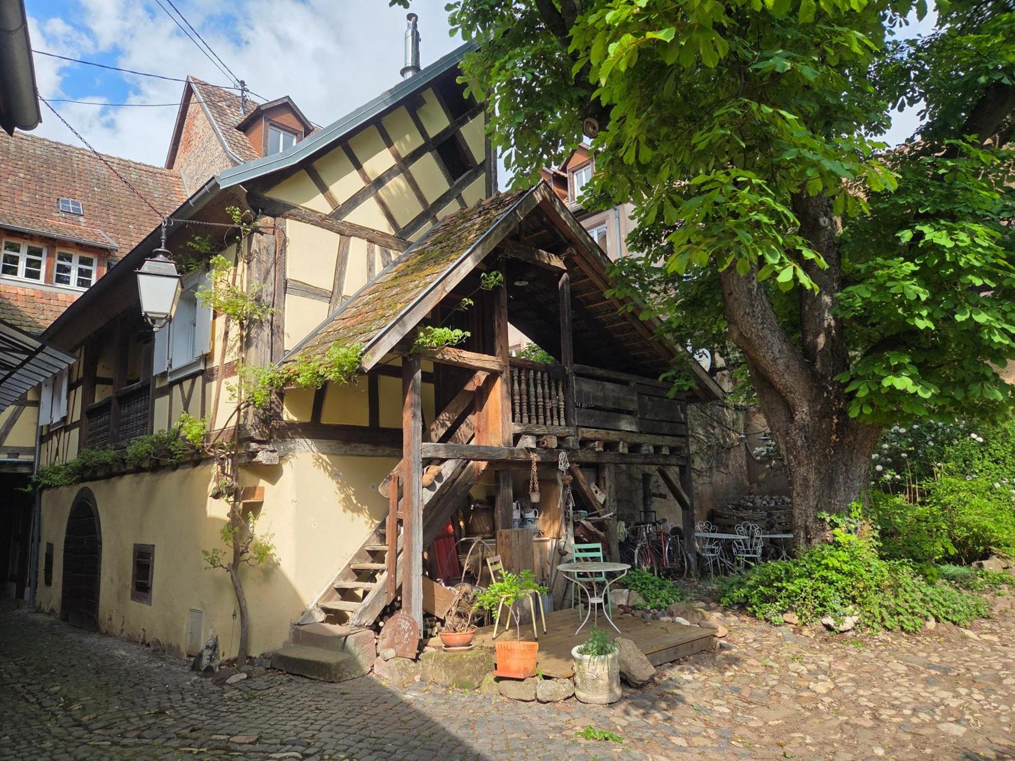 Villa Le Temps Des Cigognes Barr Esterno foto