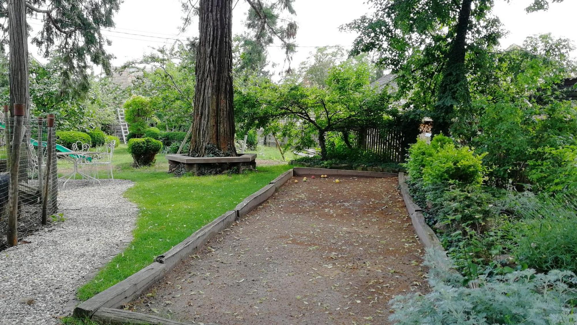 Villa Le Temps Des Cigognes Barr Esterno foto